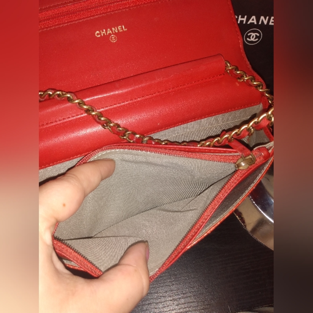 CHANEL python crossbody - Picture 15 of 16